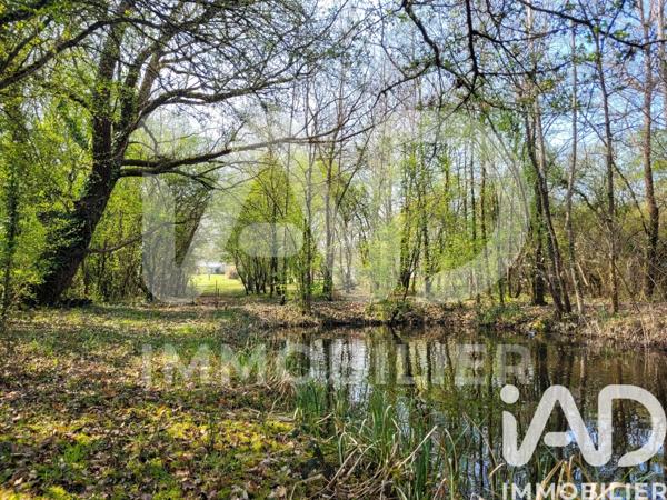 Maison à vendre 6 pièces 168 m² Domérat