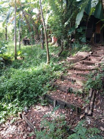 Terrain  ravine vilaine 840m2