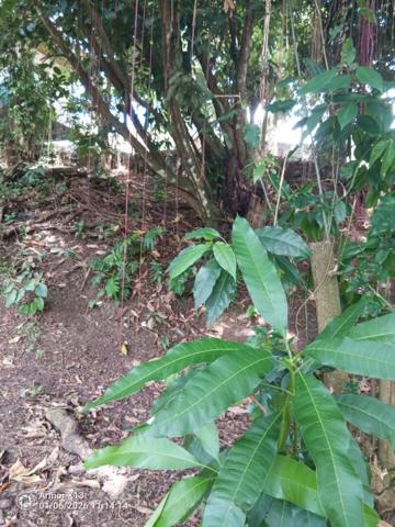 Terrain  ravine vilaine 840m2