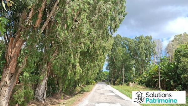 Terrain d'exception de 10 000 m² (1 ha) à Montsinéry-Tonnegrande – Secteur Champs Virgile / La Carapa