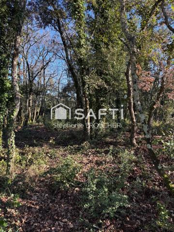 terrain CONSTRUCTIBLE Viabilisé