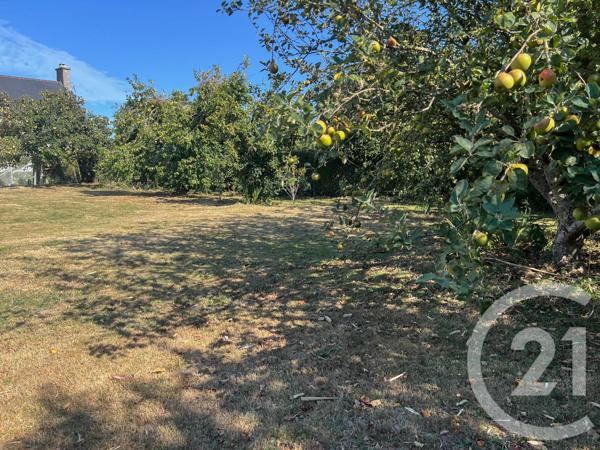 Maison à vendre  5 pièces - 102,38 m2 ST GEORGES DE LA RIVIERE - 50