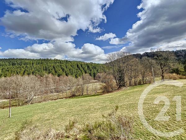 Maison à vendre  14 pièces - 398,06 m2 TENCE - 43