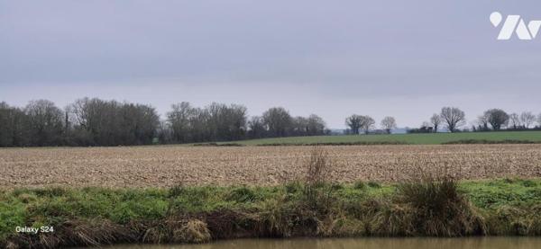 LOIRÉ -  TERRES AGRICOLES 19 Hectares - HANGAR 