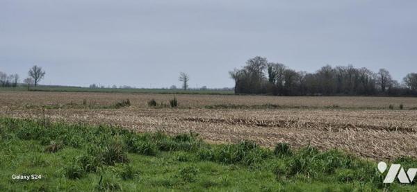 LOIRÉ -  TERRES AGRICOLES 19 Hectares - HANGAR 