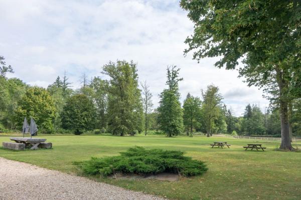 Vente Propriété de chasse de luxe Lamotte-Beuvron 13 Pièces 710 m²