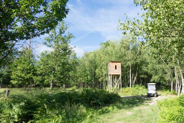 Vente Propriété de chasse de luxe Lamotte-Beuvron 13 Pièces 710 m²