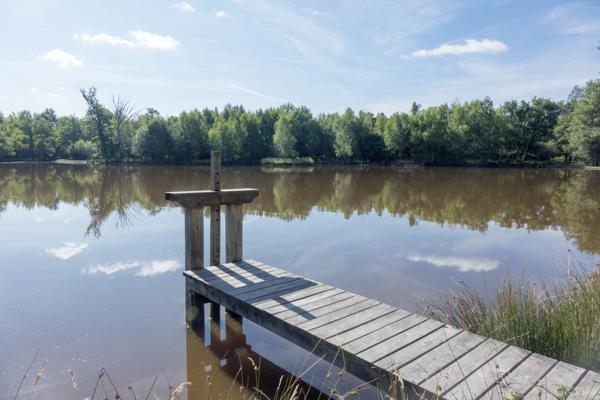Vente Propriété de chasse de luxe Lamotte-Beuvron 13 Pièces 710 m²