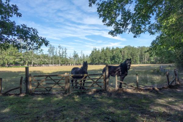 Vente Propriété de chasse de luxe Lamotte-Beuvron 13 Pièces 710 m²