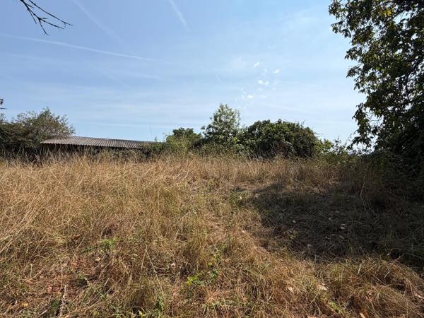 Bâtiment Agricole 900m² Générac (33920)