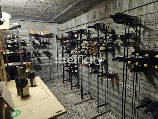 Maison 7 pièces - 196 m² Bien prestige