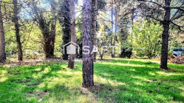 Bel appartement indépendant-esprit maison de ville