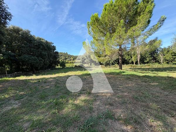 Terrain 2116 m2