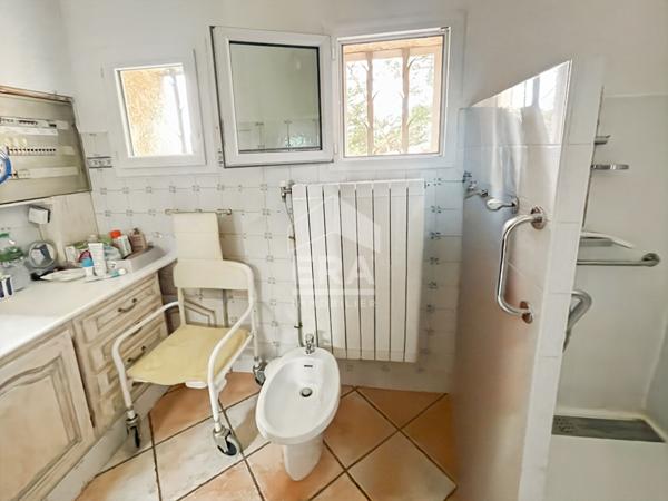 VIAGER Occupé deux têtes - Les Pennes Mirabeau - Maison de maitre + dépendance