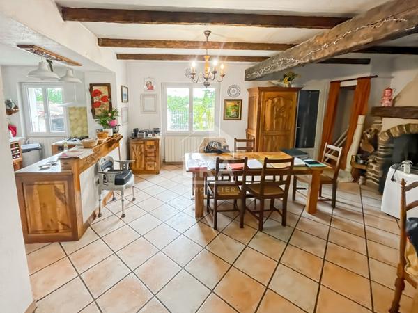 VIAGER Occupé deux têtes - Les Pennes Mirabeau - Maison de maitre + dépendance