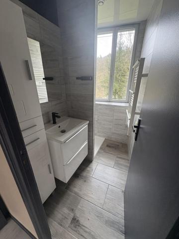 Vente / Maison à Beauzac (43590)