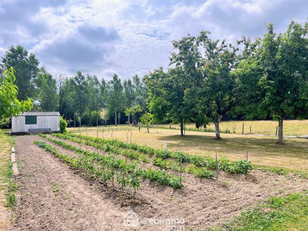 Maison 114 m² à Chalonnes-sur-Loire 49290