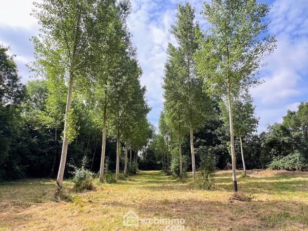Maison 114 m² à Chalonnes-sur-Loire 49290