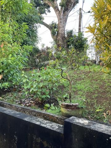 Achat vente Maison individuelle Fort de france