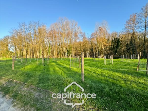 Maison à vendre 5 pièces (38)