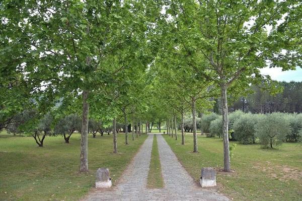 Immobilier Les Arcs (83460) – Propriété 258m2 – 2 100 000 €