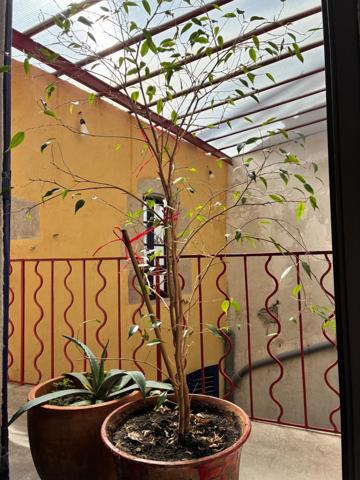 Maison à vendre 9 pièces SAINT AFFRIQUE (12)