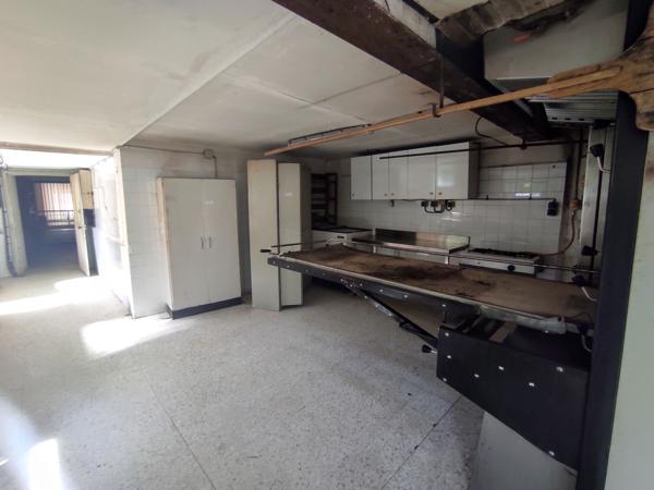 Bessèges (30160) Bessèges Appartements et local commercial 270 m² avec terrain