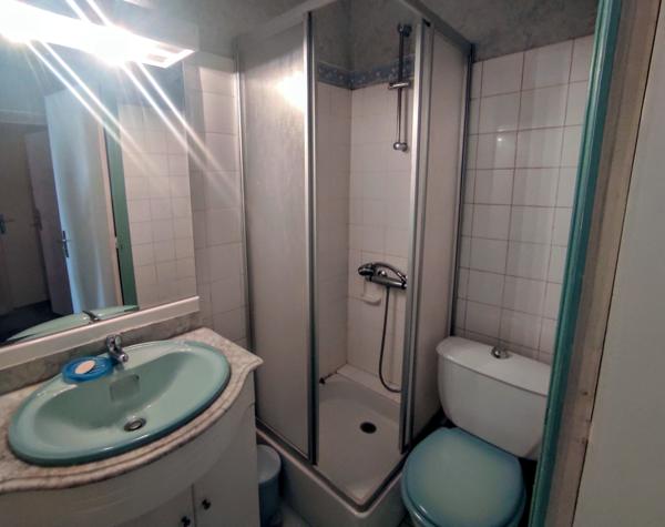 Bessèges (30160) Bessèges Appartements et local commercial 270 m² avec terrain