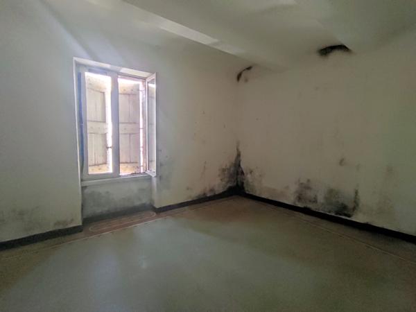 Bessèges (30160) Bessèges Appartements et local commercial 270 m² avec terrain