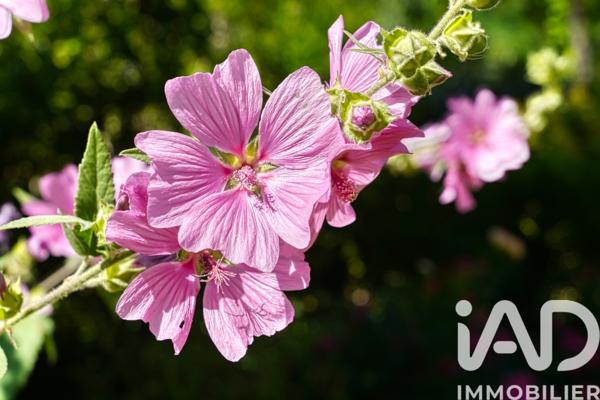 Maison à vendre 9 pièces 220 m² Bures-sur-Yvette