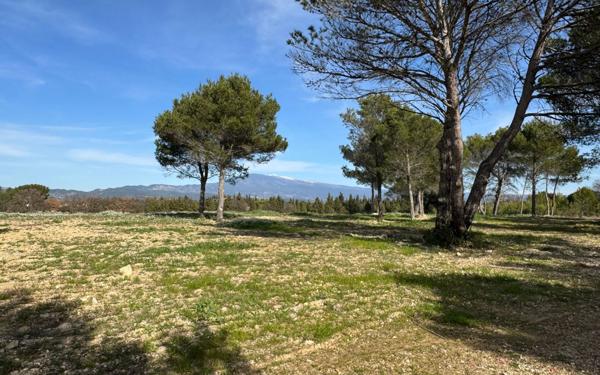 Maison à vendre    3 pièces •  Carpentras