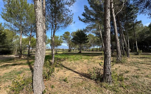 Maison à vendre    3 pièces •  Carpentras