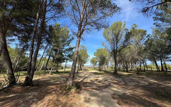 Maison à vendre    3 pièces •  Carpentras