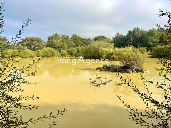 Maison à Talmont-Saint-Hilaire, 85440 - 4 pièces 101m²