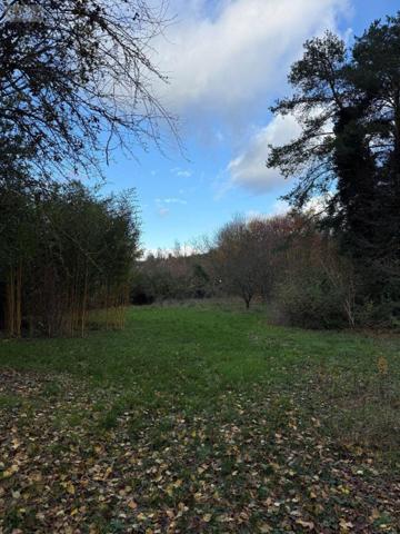 Maison à vendre à Messon dans l'Aube (10190), ref : 10010/438