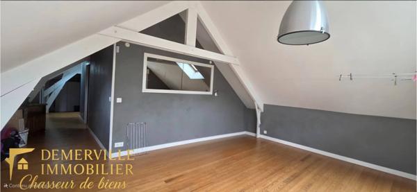 Opportunité rare – Habitation, local commercial & hangar sur grand terrain