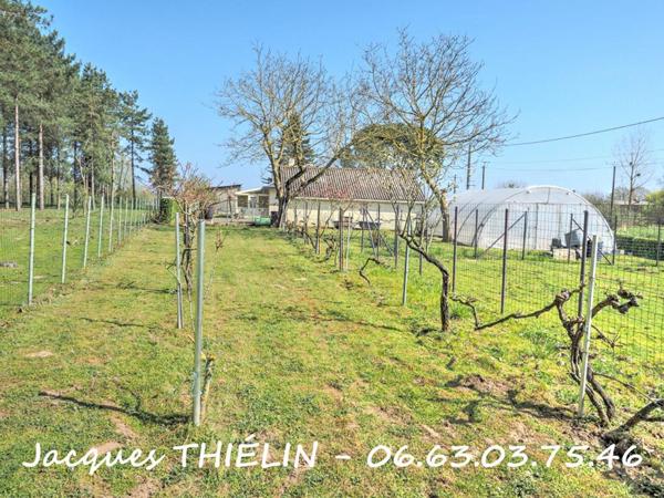 PAVILLON TOTALEMENT RÉNOVÉ SUR 1,4 HA AVEC DÉPENDANCES