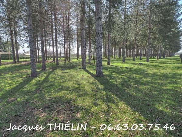 PAVILLON TOTALEMENT RÉNOVÉ SUR 1,4 HA AVEC DÉPENDANCES