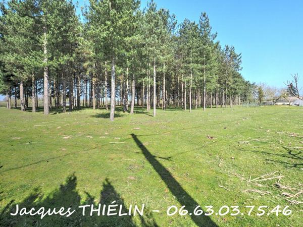 PAVILLON TOTALEMENT RÉNOVÉ SUR 1,4 HA AVEC DÉPENDANCES