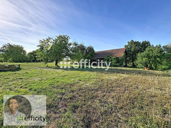 Terrain
        
        - 2400 m² Exclusivité 45 000 € *