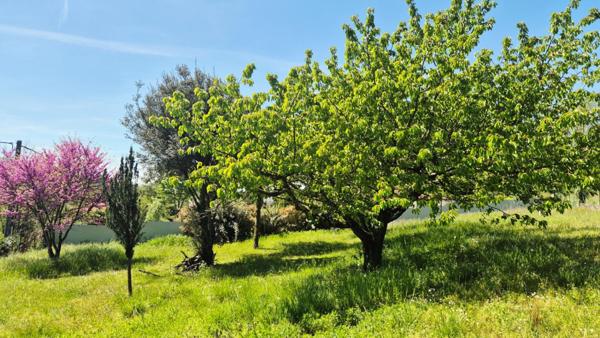 Terrain Saint Lattier 1193 m2  85 000 Euros