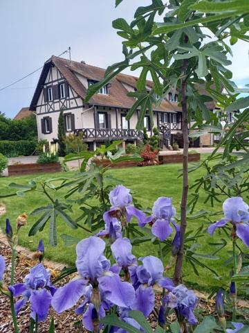 Près de Gerstheim, Domaine de gîtes – Fort potentiel touristique