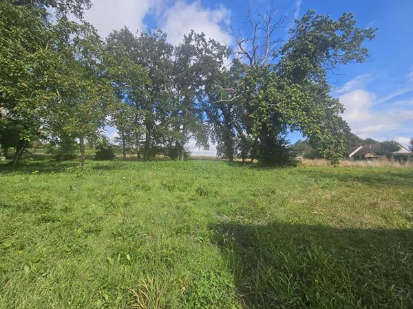 LONGÈRE À RÉNOVER - MONTRICHARD VAL DE CHER