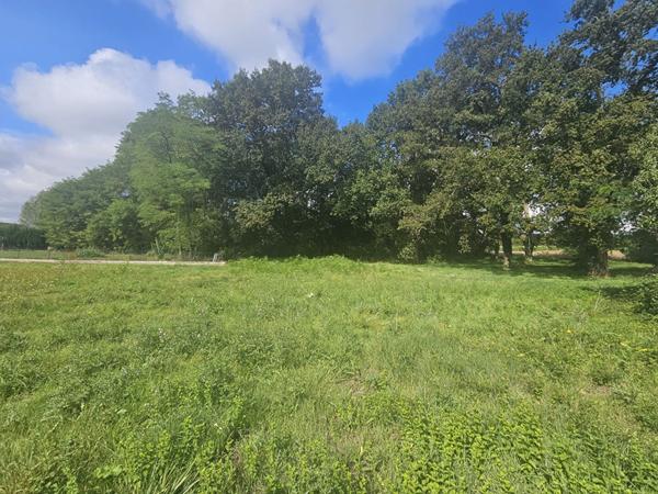 LONGÈRE À RÉNOVER - MONTRICHARD VAL DE CHER