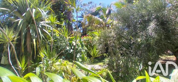 Maison à vendre 6 pièces 191 m² Saint-Pierre