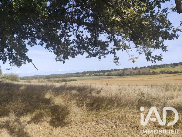 Terrain à vendre 4 817 m² Loussous-Débat