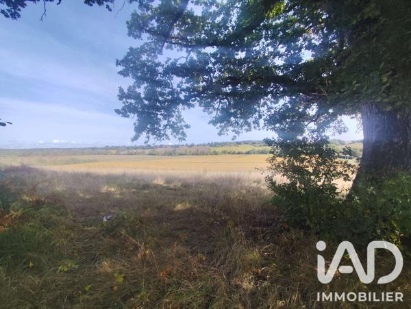 Terrain à vendre 4 817 m² Loussous-Débat