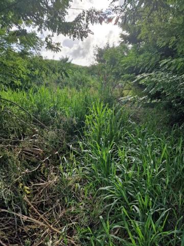 Terrain Le Vauclin 1820 m2 a quelques minutes a pied de la plagede Pointe Faula