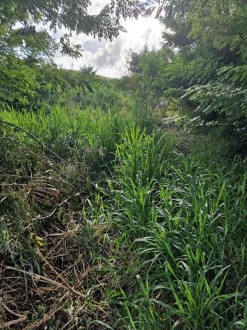 Terrain Le Vauclin 1820 m2 a quelques minutes a pied de la plagede Pointe Faula