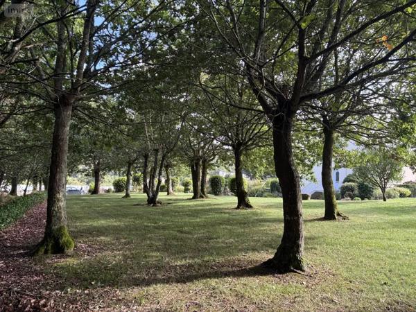 Achat - Maison Plouédern 29800 7 pièces 180 m 2 2547 m 2